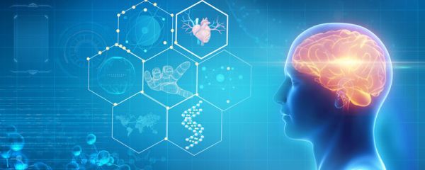 左脑右脑分别控制什么 左脑和右脑分别控制什么