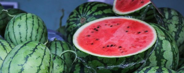 西瓜从哪里传入中国 西瓜从哪个国家传入中国