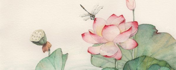 益虫有哪些 益虫有哪些昆虫