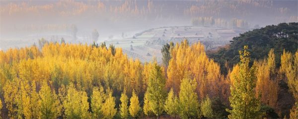 山东的山指的是哪座山 山东的山指的是哪座山以东