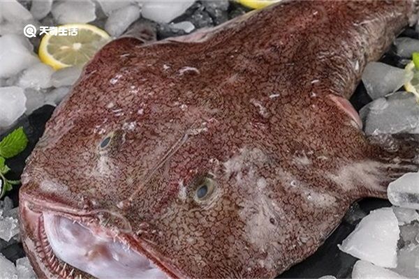 安康鱼的功效与作用 安康鱼的功效与作用有哪些