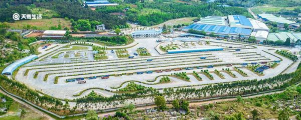 驾考成绩怎么查询 我的驾考成绩怎么查询