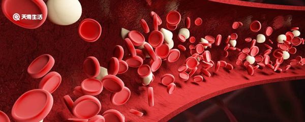 为什么低等动物的血液没有颜色 低等动物的血液为什么没有颜色