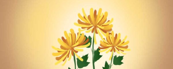 2023重阳节农历是几月几日 九月九日重阳节风俗