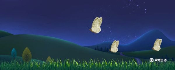 房间里有飞蛾怎么处理 房间里有飞蛾怎么处理方法