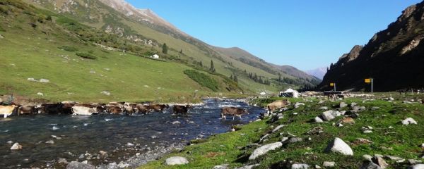 世界上最长的河流 世界上最长的河流是哪一条河