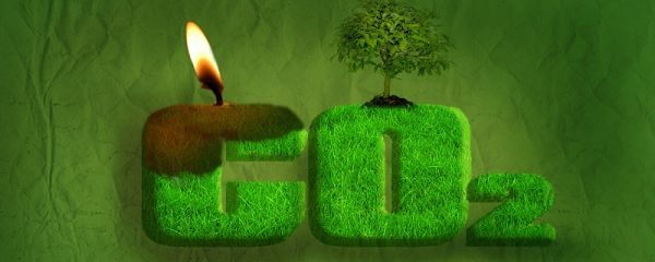 二氧化碳的性质 二氧化碳的性质是什么