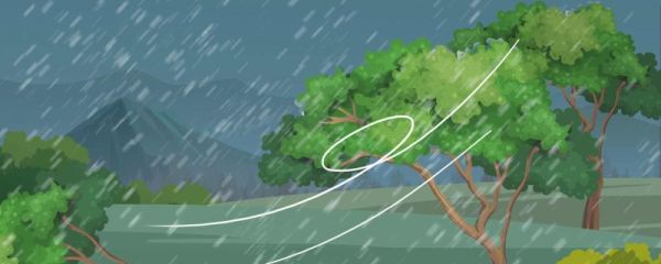 台风海葵是超强台风吗 海葵名字的由来