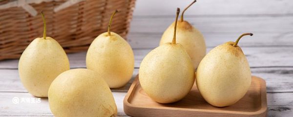 梨产地在哪里 梨产地在哪