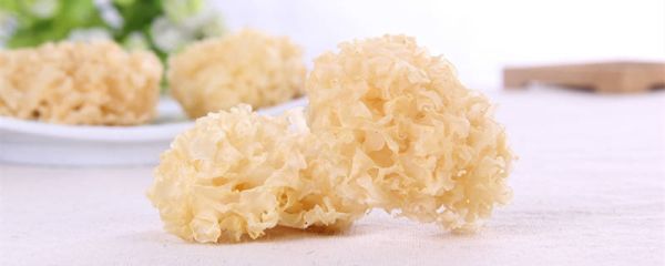 银耳根部黄的能吃吗 银耳的营养价值