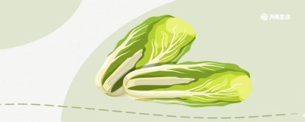 白菜煮多久能熟 白菜煮多久能熟时间