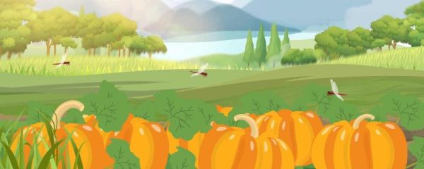 万圣节南瓜灯的来历 万圣节怎么装扮