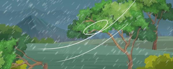 台风卡努预计在哪里登陆 浙江面对台风卡努的预报预警