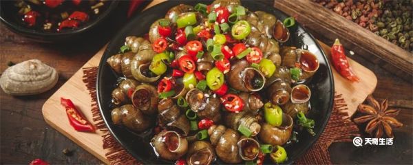 田螺是不是海鲜 田螺属于海鲜吗