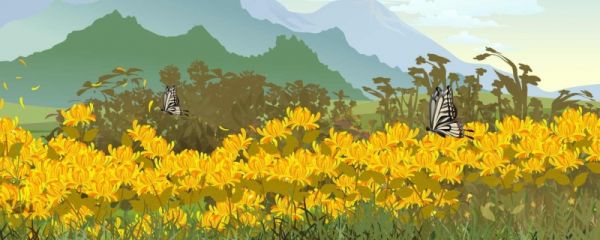 2023重阳节放假吗放几天啊 重阳节阴历时间几月几号