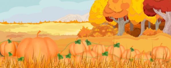 万圣节是10月31日还是11月1日 万圣夜和万圣节有什么区别