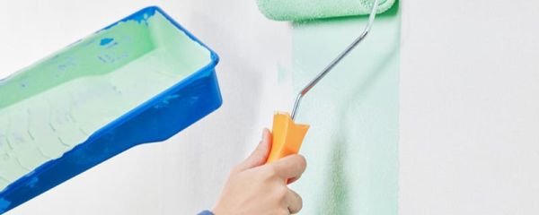 新房装修要放什么植物好 新房装修放哪些植物比较好