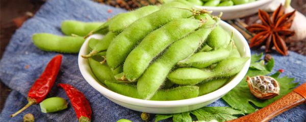 毛豆属于蛋白质还是碳水 毛豆可以做什么