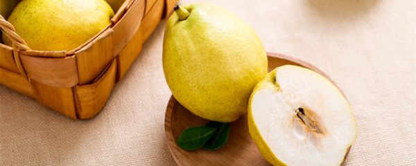 黄金梨几月份成熟 黄金梨的特点