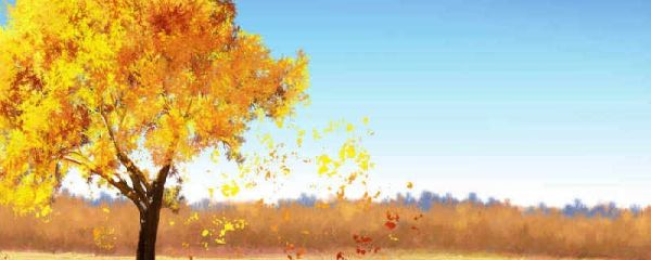 2023立秋热还是末伏热 立秋前后要注意什么