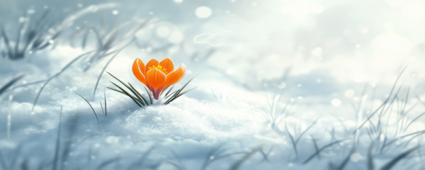 冬至节气是几月几日 冬至节气的天气变化