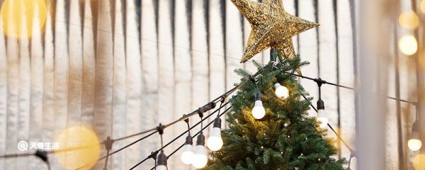 圣诞节的由来和习俗 圣诞节的习俗