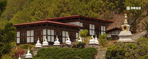 延布是哪个国家的 廷布的饮食文化