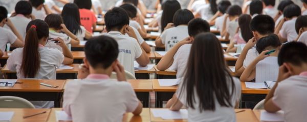 成考和自考有什么区别