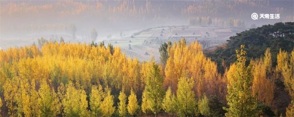 沂蒙山区指哪些地方 沂蒙山区包括哪些地方