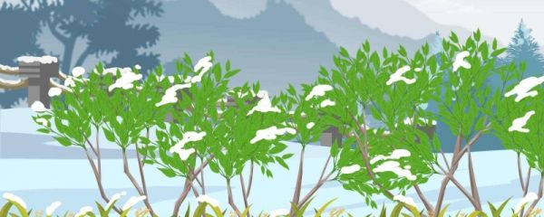 五行属水的名字女孩用 五行属水的女孩有哪些吉利名字