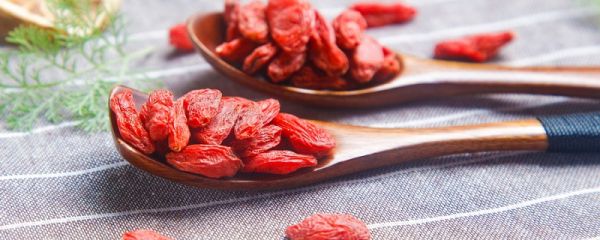 枸杞的功效与作用 枸杞有什么功效