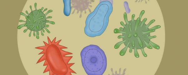新冠复阳有多严重 新冠复阳的原因