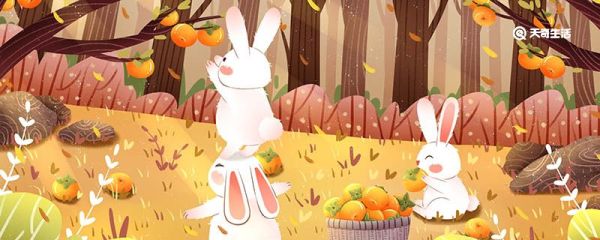 兔子的耳朵有什么作用 兔子耳朵的作用