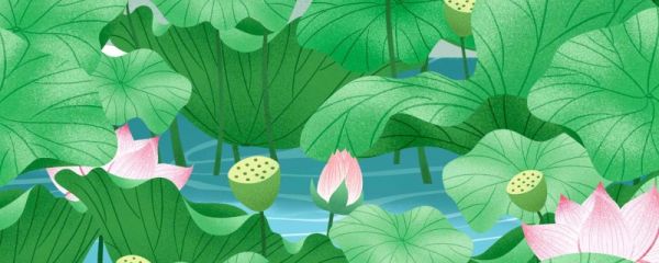 2023年立夏几分几秒 立夏是反应什么的节气