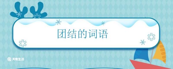 团结的词语 表示团结的词语有哪些