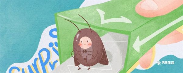 蟑螂怎么进入家里的 蟑螂是通过什么地方进入房间的