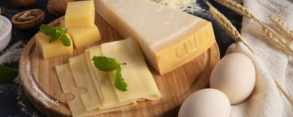 奶酪片和芝士片的区别 奶酪片和芝士片有什么不同