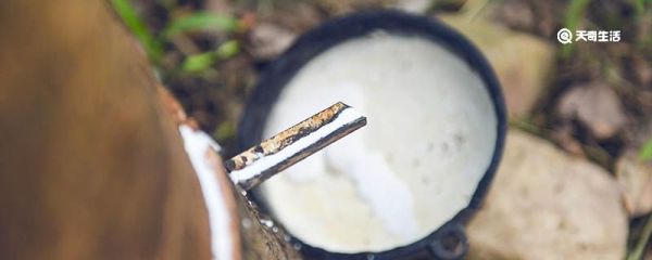 白乳胶可以粘什么 白乳胶有哪些优缺点