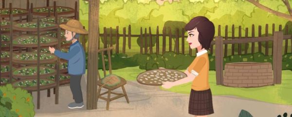 小满节气的风俗活动 小满节气天气怎么样