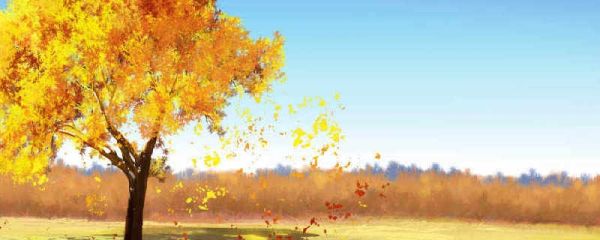 立秋节气有什么讲究 立秋天气变化