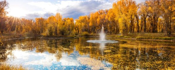 霜降是什么季节的节气 霜降节气特点