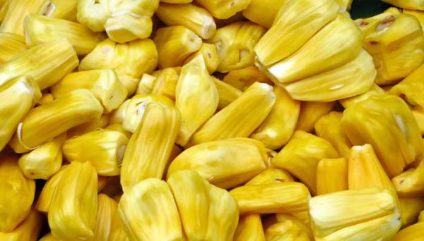 菠萝蜜出水是不是烂了 菠萝蜜出水是不是坏了