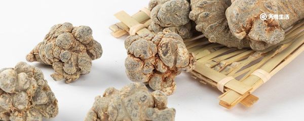 三七剪口跟不剪口的区别 三七剪口跟不剪口有什么不同