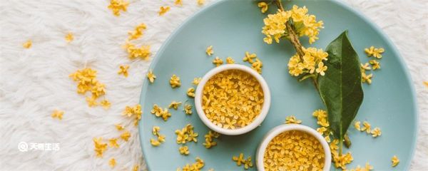 桂花怎么保存 如何保存桂花