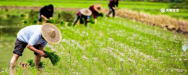 尊重劳动尊重人民的是什么节 必须尊重劳动