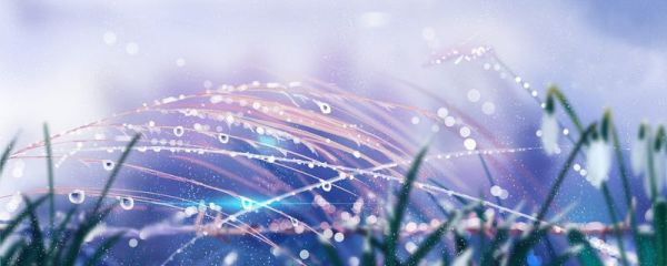 霜降是二十四节气中的第几个节气 霜降农作物变化