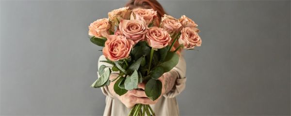 粉色玫瑰花语 粉色玫瑰花语是什么