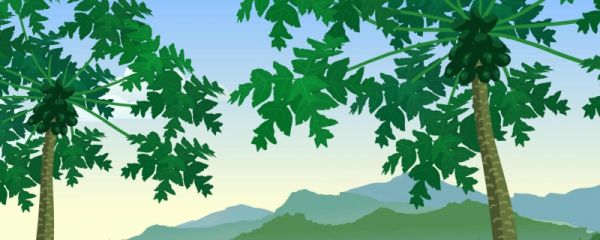 小暑是不是暑伏的开始 什么是暑伏