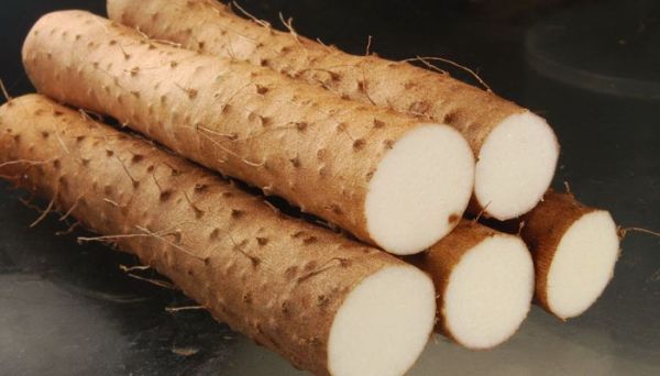 山药保存期多长时间 山药保存期有多长时间