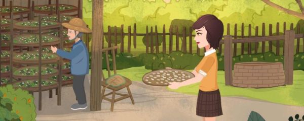 小满都是5月21日吗 小满有什么农事活动